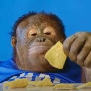 Meet your Posher, Joshua